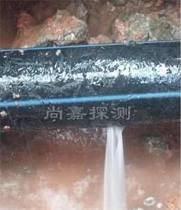 福山镇消防管道漏点探测